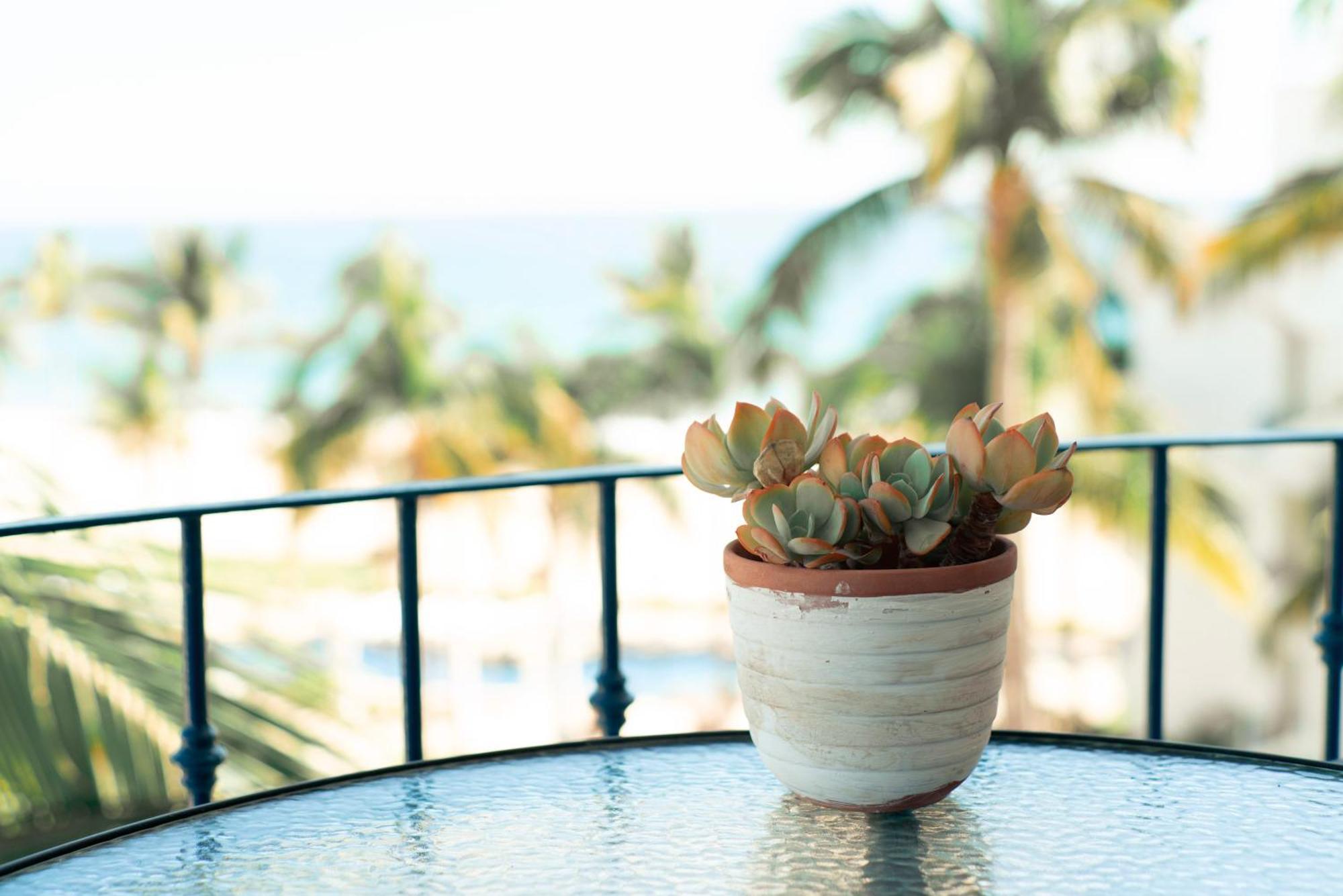 Beach Front Mykonos San José del Cabo Dış mekan fotoğraf